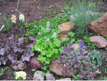 ����� � ������� ������ ������