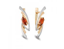 c-0224 ���� 365 ���..jpg