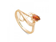 �-0239 ���� 270 ���..jpg