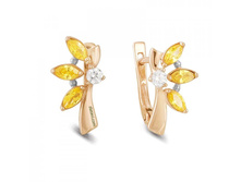 c-0189 ���� 515 ���..jpg