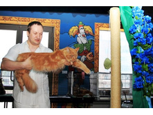 DPP_0703.JPG