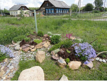 ������ - �����.jpg