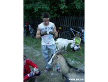 ���������� - 2