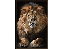 ���� ������ 134-196�� 161���.png