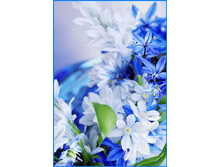 ��������� 134-196�� 163���.png