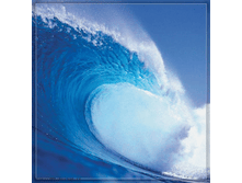 ����� 196-201�� 175���.png