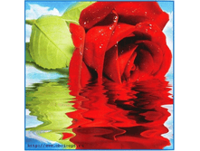 ������� 196-201�� 192���.png