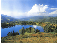 ����� 294-201�� 208���.png