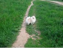 2013-05-28 18.04.36.jpg