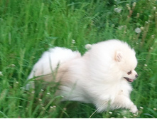 2013-05-28 18.05.42.jpg