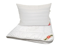 bio_wool-��� ������.jpg