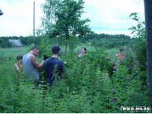 ��, ���������