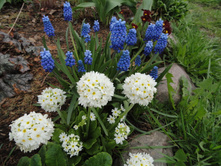 ������� � �������