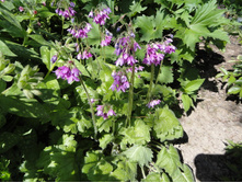 �������