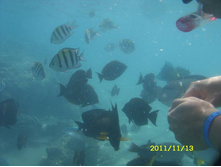 SN850166.JPG