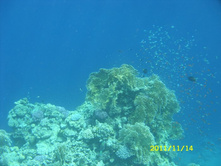 SN850261.JPG