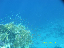 SN850262.JPG