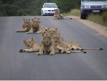 ���� ���� ���!