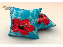 ���� ������  ���.2416-�.jpg