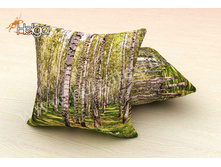 ��������� ����  ���.2301-�.jpg