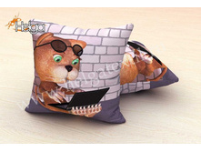 ��� � ��������� ���.2218-�.jpg