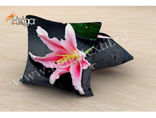 ������� ����� ���.2388-�.jpg