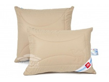 pure cemel-������ �������.jpg