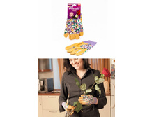 �������� �������  PATERRA  � �������� ��������� �����������.jpg