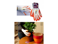 �������� ������� PATERRA.jpg