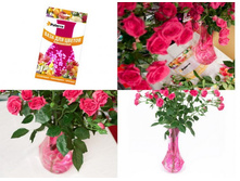 ���� ��� ������ PATERRA ����������.jpg