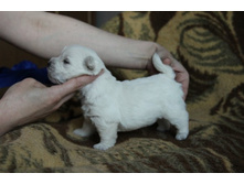 ������� 1