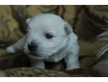 ������� 1