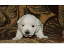 ������� 1