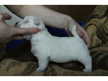 ������� 2