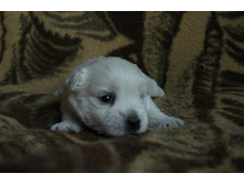 ������� 2