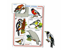 ����� �������� 162,8�