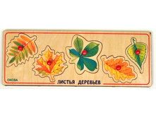 ������ �������� (����� ������) 160,60�