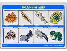 ������ ������������  ������ ��� 85,80�