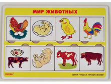 ������ ������������  ��� �������� 85,80�