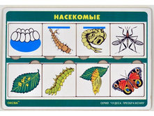 ������ ������������  ��������� 85,80�