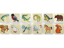 ���� �������� ��� ������ �����  271�