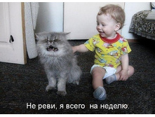 �� ���� - � ����� �� ������