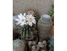 �������������