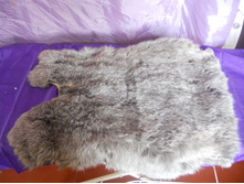 DSCN2978.JPG