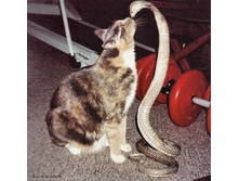 ����� � ����