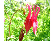 ���� ���..JPG