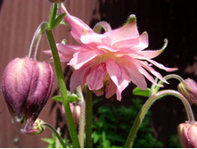 ���� �������� �������.JPG