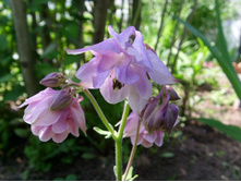 ���� ��������.JPG