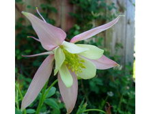 ���� ������� � �����.JPG