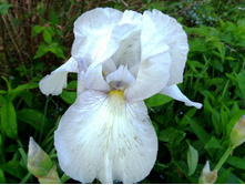 ���� ��������� �����.JPG